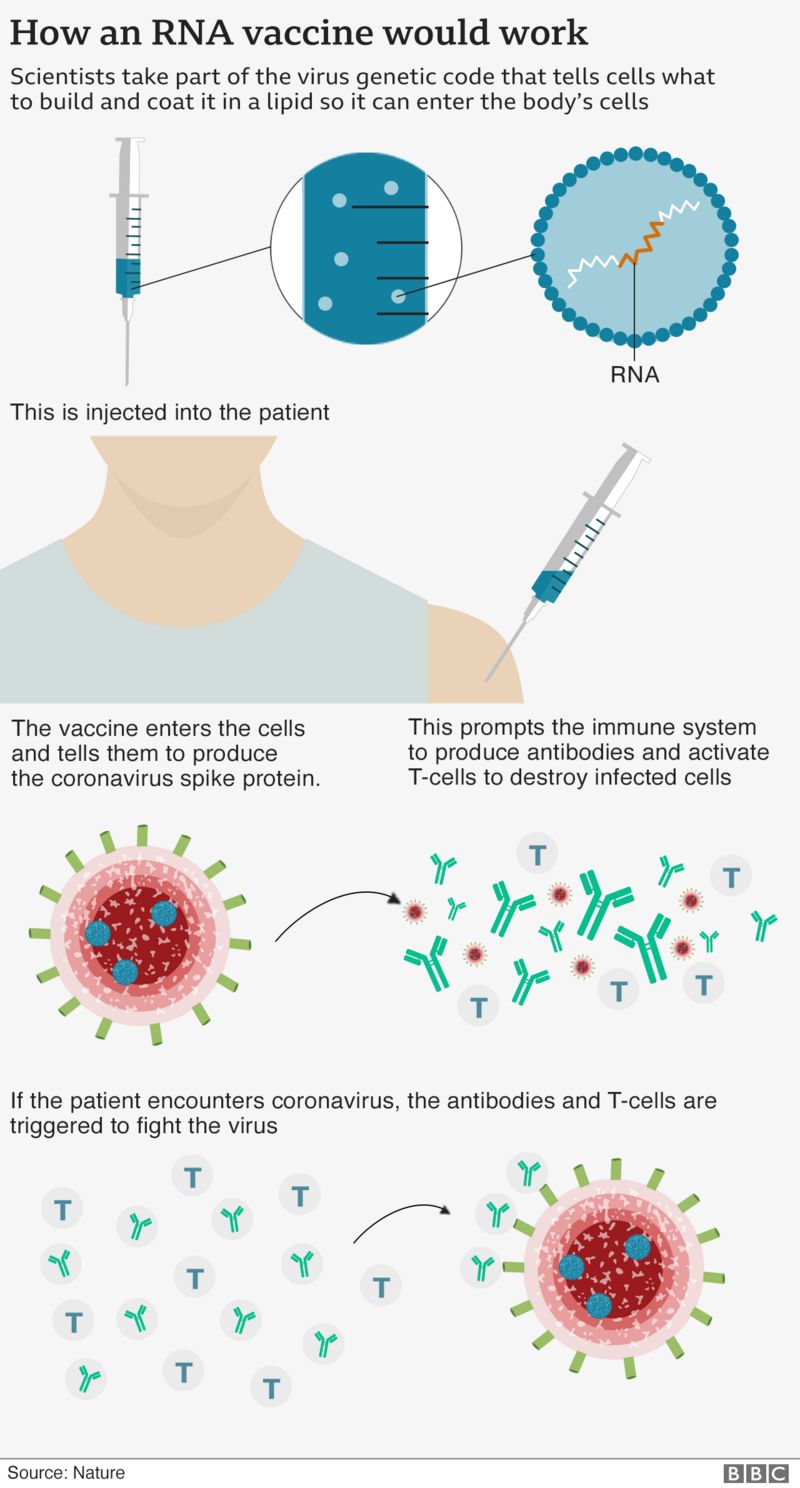 _115517799_covid19_how_vaccines_work_v4-nc-2x.png